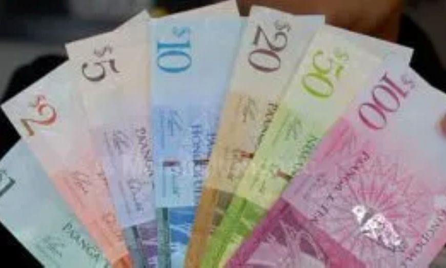 The Lifeblood of the Kingdom: Why Tonga Must Take Remittances Seriously