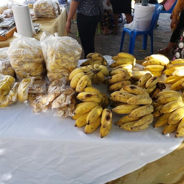 Ta’u ‘e 26 ‘a e Tō Lalo e ‘Ekonomika ‘a Tonga´ – Kā Te Tau Toe ‘Ā?