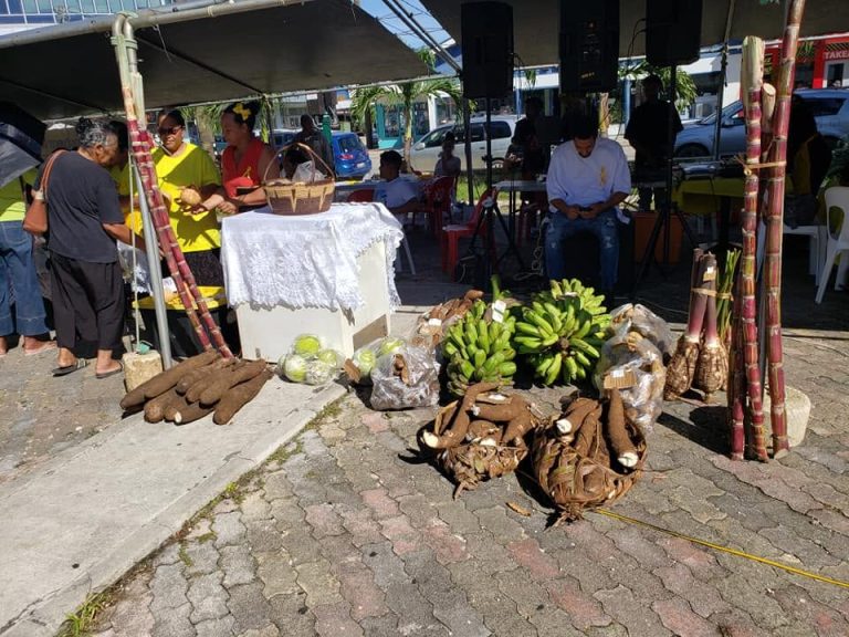 A Wake-Up Call from the Statistics Department: Tonga’s 26-Year Economic Stagnation